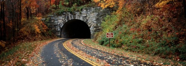 Seven Thoughts for Fall